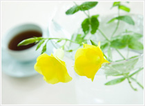 理解していただきたいこと