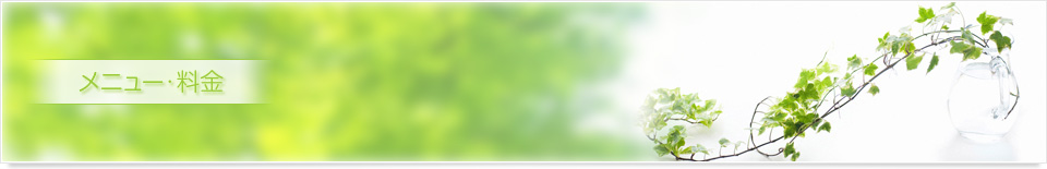 メニュー･料金